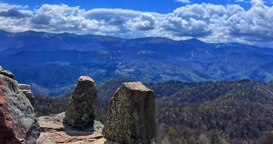 viber_image_2025-05-12_12-44-10-461