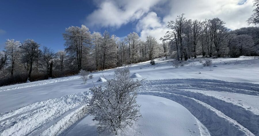 viber_изображение_2026-01-14_23-29-26-122